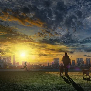 photoshop講習/夕方の公園
